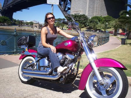 A Wild Ride - Accommodation Burleigh 2