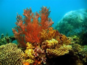 Exmouth WA Accommodation Burleigh