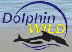 Dolphin Wild - Accommodation Burleigh 0