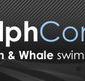 Dolphcom - Dolphin  Whale Swimming Adventures - Accommodation Burleigh