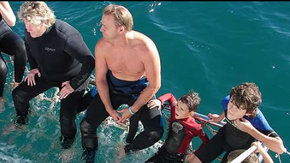 Dolphcom - Dolphin & Whale Swimming Adventures - Accommodation Burleigh 2
