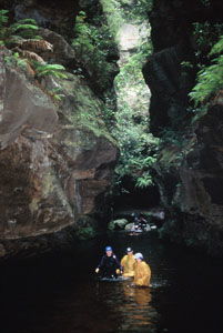 High And Wild Mountain Adventures - Accommodation Burleigh 1