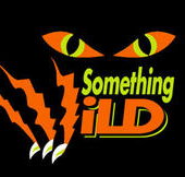Something Wild - Accommodation Burleigh