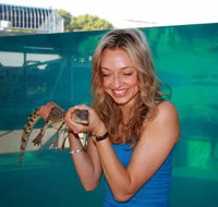 Crocosaurus Cove - Accommodation Burleigh