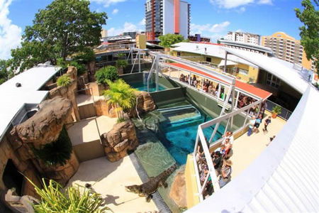 Crocosaurus Cove - Accommodation Burleigh 1