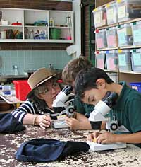 Australian National Botanic Gardens - Accommodation Burleigh 2