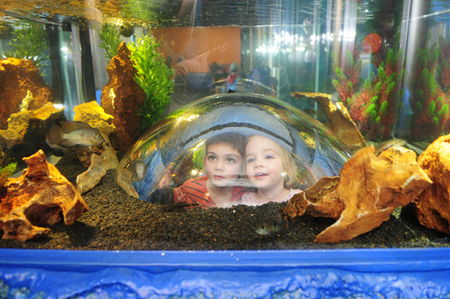 Scitech - Accommodation Burleigh 3