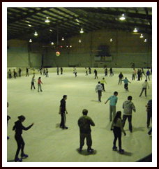 Bendigo Ice Stadium - Accommodation Burleigh 1