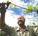 Barossa Experience Tours - Accommodation Burleigh
