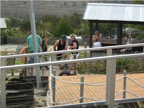 Auldana SA Accommodation Burleigh