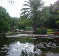 Brisbane City Botanic Gardens - Accommodation Burleigh