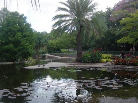 Brisbane City Botanic Gardens - Accommodation Burleigh 0