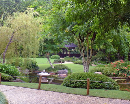 Brisbane City Botanic Gardens - Accommodation Burleigh 1