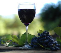  Accommodation Burleigh