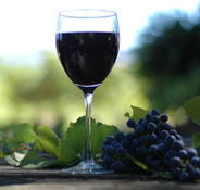 Lion Mill Vineyards - Accommodation Burleigh