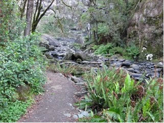 Stevensons Falls - Accommodation Burleigh 1