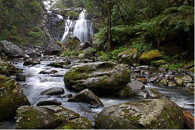 Stevensons Falls - Accommodation Burleigh 2