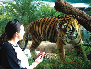 Crocodylus Park - Accommodation Burleigh 1