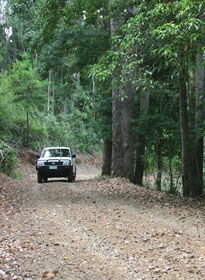 Lamington National Park And OReillys - Accommodation Burleigh 2