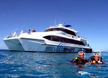 Silver Swift - Accommodation Burleigh 0