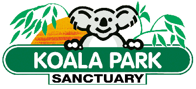 Koala Park Sanctuary - Accommodation Burleigh