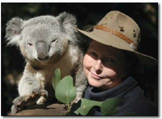 Koala Park Sanctuary - Accommodation Burleigh 2