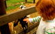 Collingwood Children's Farm - thumb 0