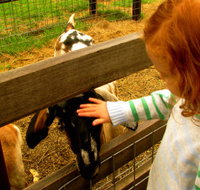 Collingwood Children's Farm - Accommodation Burleigh