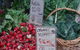 Collingwood Children's Farm - thumb 1