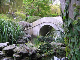 Chinese Garden Of Friendship - Accommodation Burleigh 1