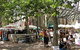 Paddington Markets - thumb 1
