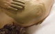 Alkaline Spa & Clinic - thumb 2