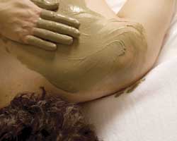 Alkaline Spa & Clinic - Accommodation Burleigh 2