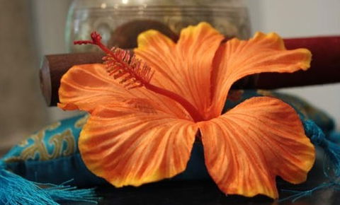 Annasha Day Spa Retreat - Accommodation Burleigh 5