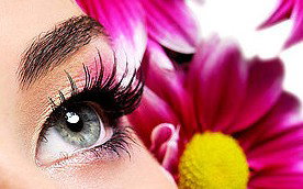 Glow Retreat - Accommodation Burleigh 5