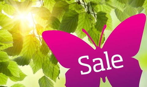 Wintergarden Shopping Centre - Accommodation Burleigh 0