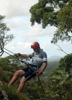 Adventures Around Brisbane - Accommodation Burleigh