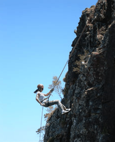 Adventures Around Brisbane - Accommodation Burleigh 1