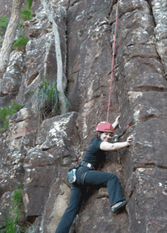 Adventures Around Brisbane - Accommodation Burleigh 4