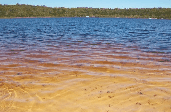 Beach Trekkers North Stradbroke Island - Accommodation Burleigh 1