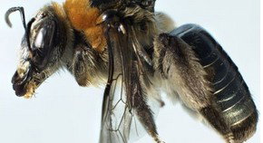 Western Australian Museum - Accommodation Burleigh 0