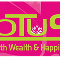 Lotus Massage - Accommodation Burleigh