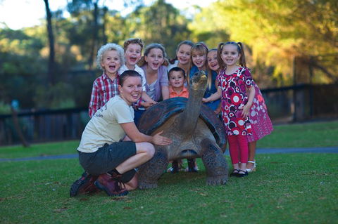 Australian Reptile Park - Accommodation Burleigh 11