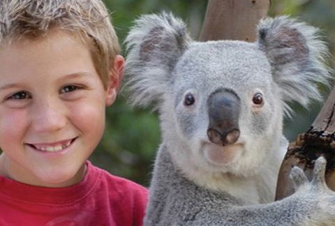Featherdale Wildlife Park - Accommodation Burleigh 1