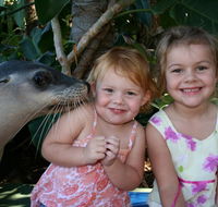 Dolphin Marine Magic - Accommodation Burleigh