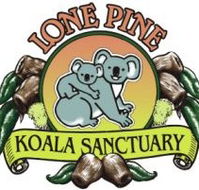 Lone Pine Koala Sanctuary - Accommodation Burleigh