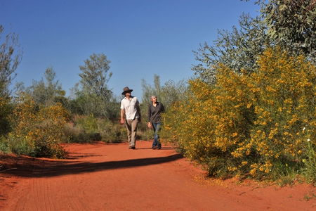 Alice Springs Desert Park - Accommodation Burleigh 3