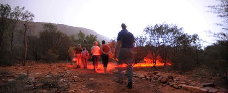 Alice Springs Desert Park - Accommodation Burleigh 4
