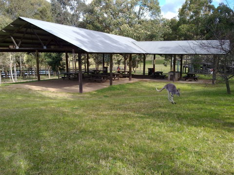 Calmsley Hill City Farm - Accommodation Burleigh 5