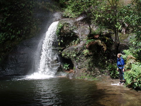 Blue Mountains Adventure Company - Accommodation Burleigh 1